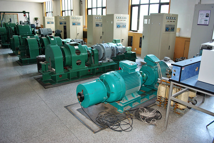 国营西联农场某热电厂使用我厂的YKK高压电机提供动力